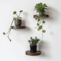 Hanah Home Conjunto de 3 Estantes de Pared de Madera Decorativos